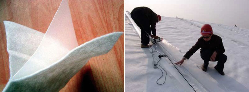 62354c84a01fb.jpg 1.jpg